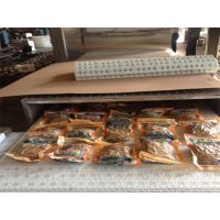 浩铭HYWB-9X微波蒸煮袋装食品低温杀菌设备 真空袋食品灭菌箱