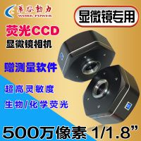 ȶWP-MS500M USB2.0΢΢ͷ500 ɫڰ׿ѡ