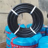 ڹ  Ȳ Ȳ ѹ40  Ͷȸ