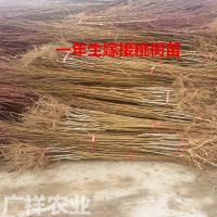 ë0.5ֵ ޽ë