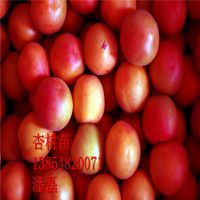 Ʒ硢Ʒֺ硢Ʒ۸