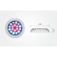 �ڹ�ʽˮ�µ��¿�