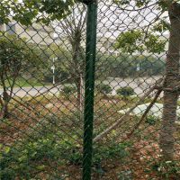 厂家直销球场围栏网 篮球场护栏 操场护栏网 体育场护栏***格