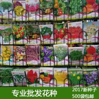 批发供应各种彩包花种 盆栽花种家庭园艺种子 花种子菜种四季易种