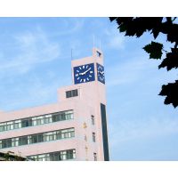 供应康巴丝牌学校塔钟，外墙钟表建筑塔钟