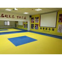 重庆恒昊-跆拳道馆建设