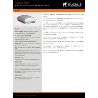 ſT610sθAP Ruckus T610sAP 901-T610-WW51