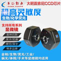 ȶWP-MS140M USB2.0΢΢ͷ140 ɫڰ׿ѡ