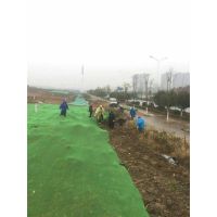 ϩɫ20׿˫úϵ15131879580