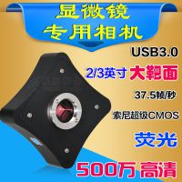 WP-MU500   ҵ й ͷ 