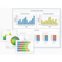 Anychart Flash chartsۣ۸