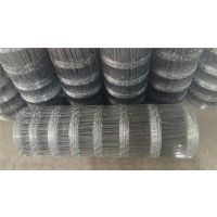 £08пȦ˿۸ϵ15131879580