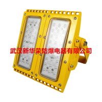 ʽLEDBLD220-30W,BLD220-30G