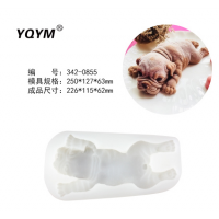 YQYMɳƤģ
