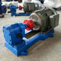 泊海厂家供应2CY型齿轮泵 小流量微型输油泵 高温泵