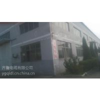 ͭо³1KVִָװɫPVC׵-YJV62-3*10+1*6³-ȵ
