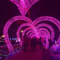 ledʵ ƻװ˿ͳŰװ***