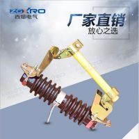  RW10-12/100-200A 10KVѹʽ۶տ