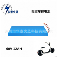 华泰火蓝 哈雷车电池组60V 12Ah