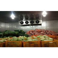 济南市水果蔬菜保鲜冷库厂家建设
