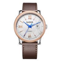 瑞度士(RAIDOX )手表新款 R008046 男士商務(wù)機械手表