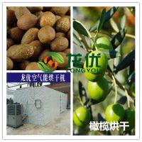龙优橄榄烘干机设备 海南橄榄烘干机