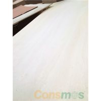 Consmos񽺺ϰƯľ¹ǹγͳֱľҵ