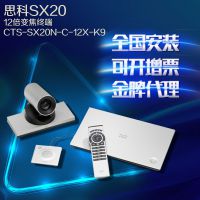 ˼cisco sx20 CTS-SX20N-C-12X-K9 12Ƶն лɿƱ