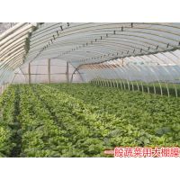 供应PEP利得膜温室大棚专用膜防流滴膜长寿无滴膜【10丝】