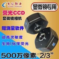 ȶWP-MS505M USB2.0΢΢ͷ500 ɫڰ׿ѡ