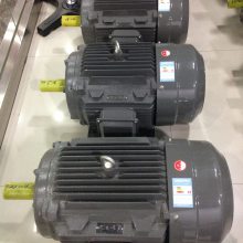 德东电机厂 YE2 90S-4 1.1KW B3卧式安装 节能三相异步电动机三级节能