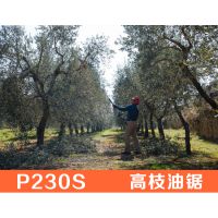 P230S ´󻪸֦֦shindaiwa԰ֻеԭװձ