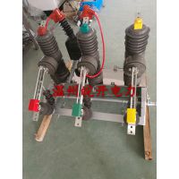 㽭ZW32-12FG/630A-20Ŷ·󱸵 ½10kv·ר