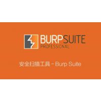 Burp Suite Professionalۣ۸