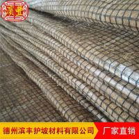 滨丰椰丝植草毯 护坡材料供应商 北京绿化景观植草毯植被垫