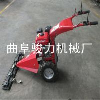  ʽݻ  ĳͲ͸ݻ ż