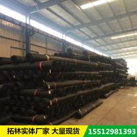 阻燃塑料土工格栅 双抗煤矿护帮网 矿用阻燃网