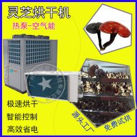 供应泰保TB-ZT-HGJ06广州空气能热泵烘干机 烘干除湿热风循环分体机一体机 灵芝干燥箱