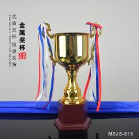 大号体育赛事奖杯 大中小号金属奖杯 大同奖杯奖牌免费排版刻字