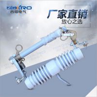  NCX-12KV/100-200A ABB10KVѹʽ۶˿