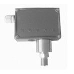 еѹͺ:DL55-MTDP-CX31AJ2DN1314BţM363998