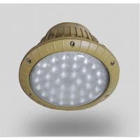 ֿled 100Wled ֿ100wled
