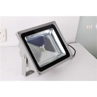 ʤӦledͶ led Ͷ10-100W