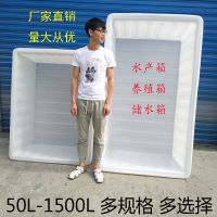 牛筋塑料水箱方形家用加厚水产养殖养鱼养龟周转收纳食品级储物箱