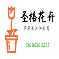 青州市圣格花卉苗木专业合作社