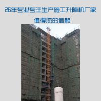 河南大诚建筑物料提升机 1.2吨物料升降机设备