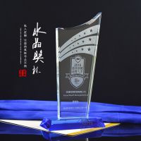深圳龙岗现货刻字水晶奖杯 年度品牌策略大奖 企业文化推广纪念杯