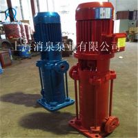 XIAOQUAN消泉泵业出售DL型立式单吸多级33.28DL51.36-57离心管道泵