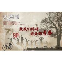 深圳墙纸 汇美无纺布， 高端家装壁画量身定制