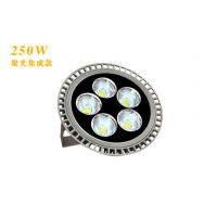 ҫӦҵLEDƹLED100W150W200W250W